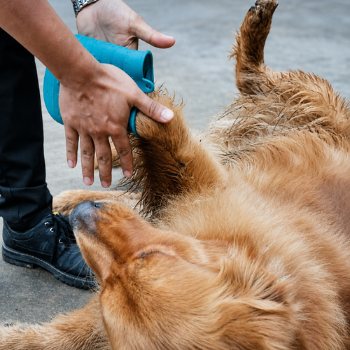 Limpiador de patas para perros y gatos.