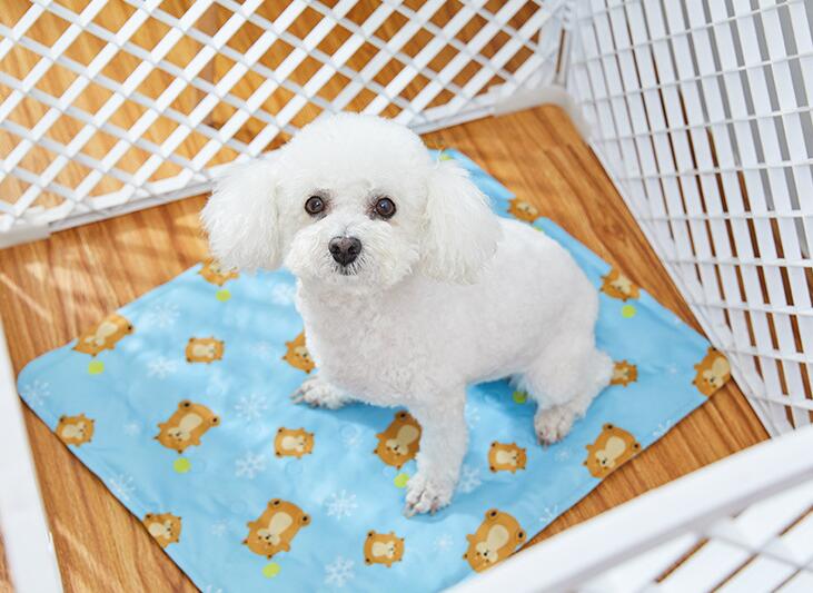 Cama refrescante para perros y gatos / Efecto frío para verano
